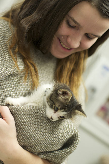 Katrina and her mom have fostered many cats and kittens, including some special needs kittens with cerebella hypoplasia.