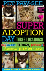 Adoption poster