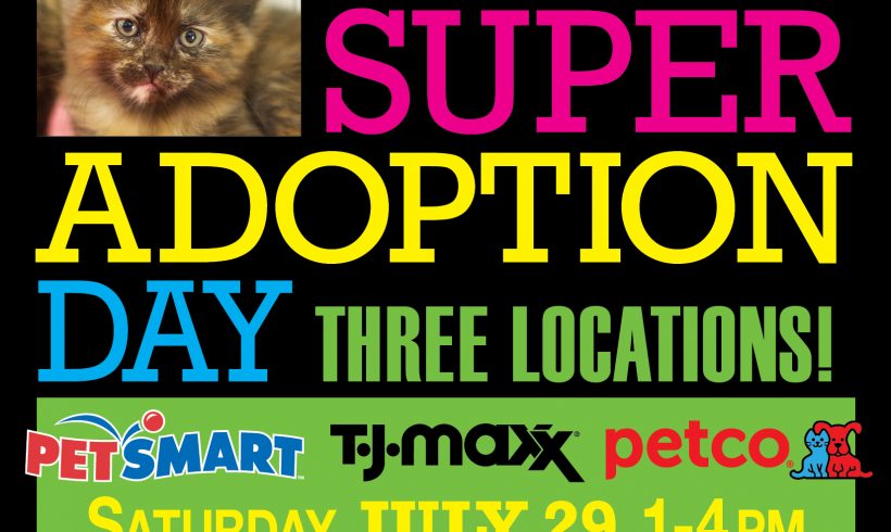 Adoption poster