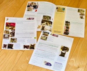 newsletter