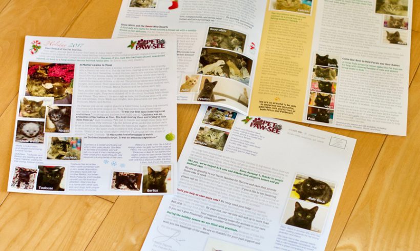 newsletter